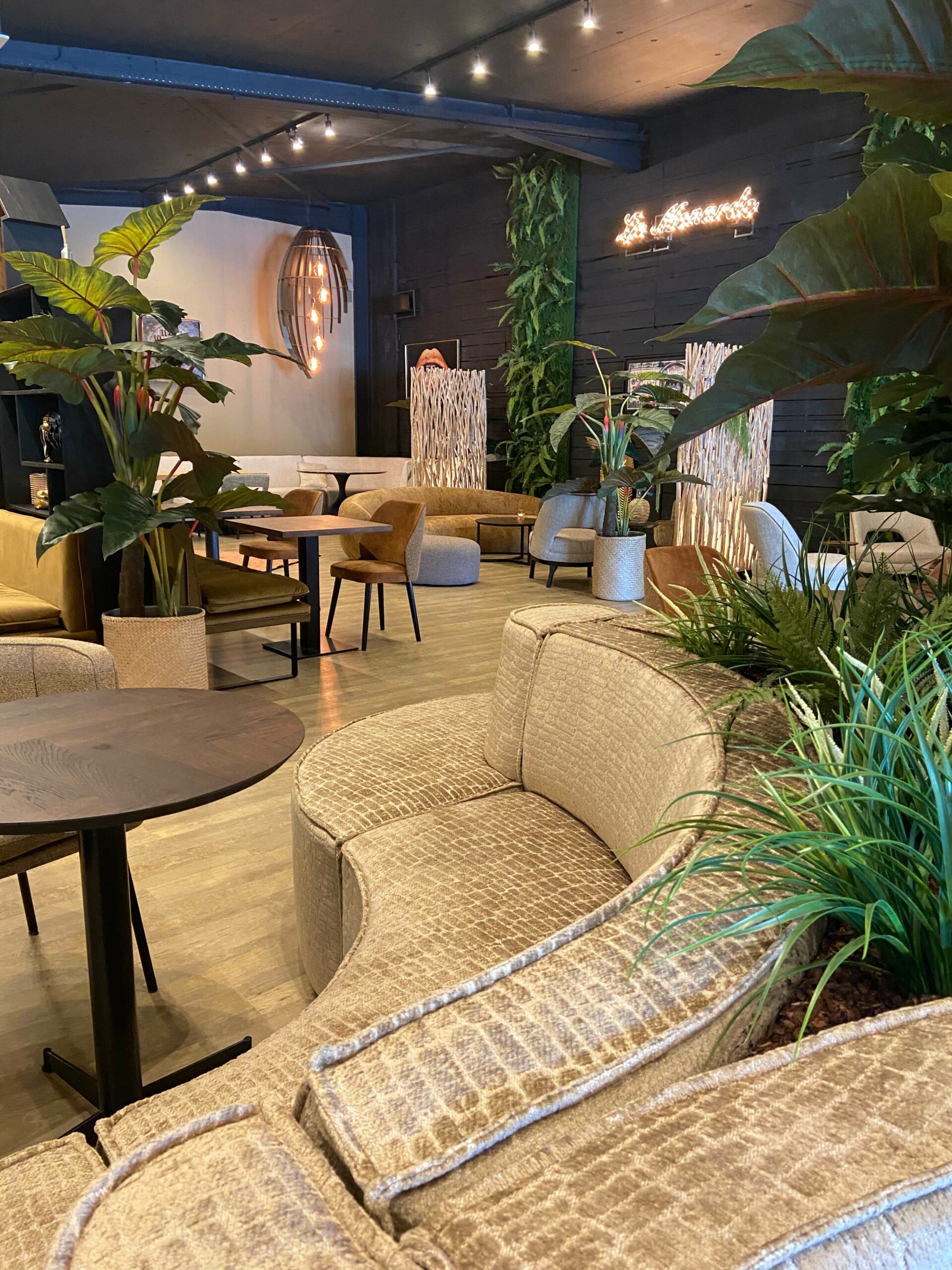 découvrez nos produits déco